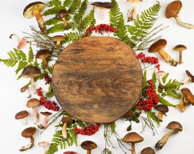 Boletus büyür. Yenilebilir mantarlar. Yemek arkaplanı. Sonbaharda orman. Doğa çöküyor. Mantar toplayın. Mantar hasadı.