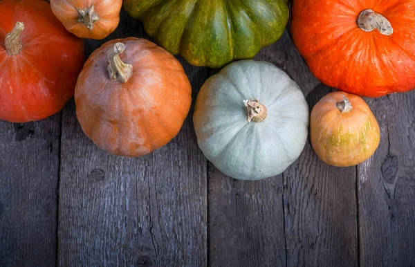 Set van verschillende pompoenen achtergrond. Verschillende soorten. Oranje, groen en grijs pompoen. Herfst oogst. Halloween en Thanksgiving eten — Stockfoto
