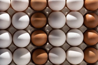 Yumurta arkaplanı. Tepside beyaz ve kahverengi yumurtalar. Protein yiyeceği. Çevresel.