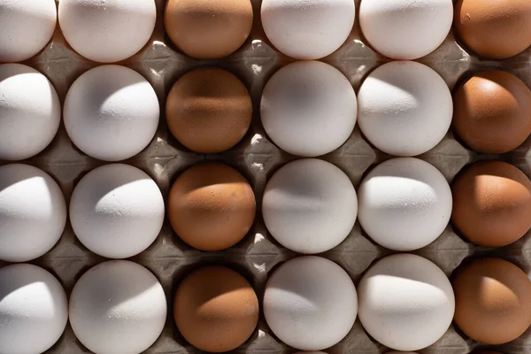 Yumurta arkaplanı. Tepside beyaz ve kahverengi yumurtalar. Protein yiyeceği. Çevresel.