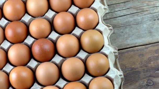 Egg background. White and brown eggs in a tray. Protein food. Eco organic. — Stock Video