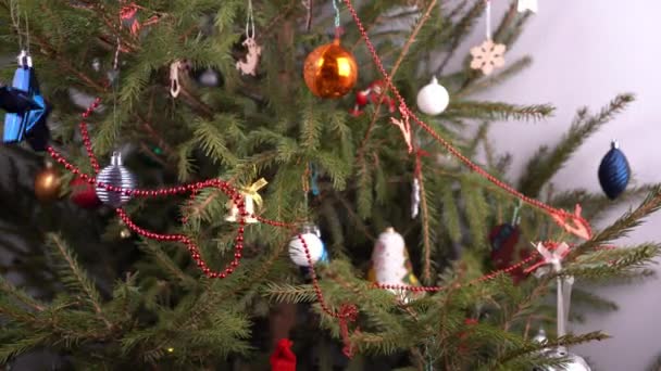 Christmas tree at home. Decor. Green coniferous branches close up. Decorate the Christmas tree with toys and balls. New Years Eve. Home life. Simple miscellaneous toys. — Wideo stockowe