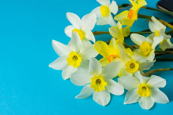 青の背景に白と黄色の水仙。オレンジの中心を持つ花。春の花。簡単な人形の芽。ナルシスブーケ. — ストック写真