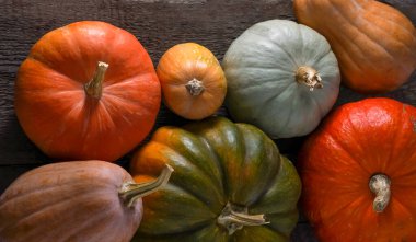 Farklı balkabağı arkaplanı seti. Farklı çeşitlerde. Turuncu, yeşil ve gri balkabağı. Sonbahar hasadı. Cadılar Bayramı ve Şükran Günü yemekleri