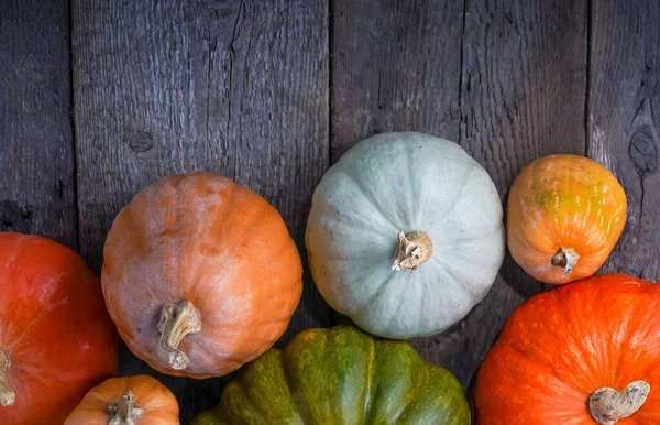 Állítsa be a különböző sütőtök háttér. Különböző fajták. Narancs, zöld és szürke tök. Őszi szüret. Halloween és hálaadási élelmiszer — Stock Fotó