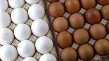 Yumurta arkaplanı. Tepside beyaz ve kahverengi yumurtalar. Protein yiyeceği. Çevresel.