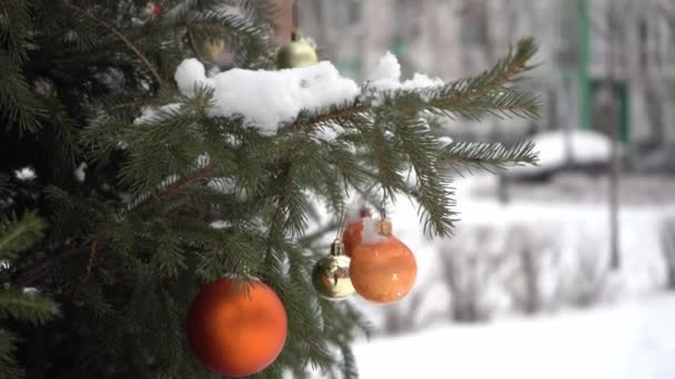 Met Sneeuw Bedekte Kerstboom Met Ballen Straat Groene Sparren Takken — Stockvideo