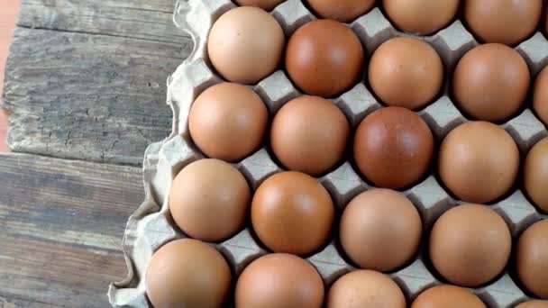 卵の背景 紙の箱のトレイの中の茶色の卵のトップビュー タンパク質食品 農場に鶏の卵を詰めます エコ有機 — ストック動画