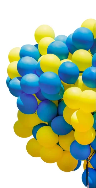Yellow Blue Balloons Big Bunch Balls Helium Balloon Isolated White — Stock Photo, Image