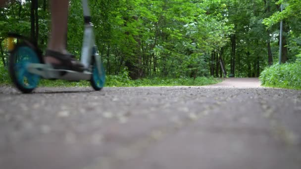 Jongen Rijdt Een Scooter Het Park Zicht Van Achteren Zomer — Stockvideo