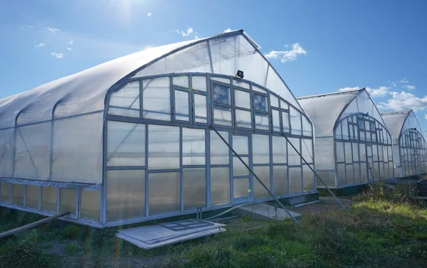 Greenhouse View Agricultural Eco Farming Farming Growing Vegetables Fruits Greenhouses — 스톡 사진