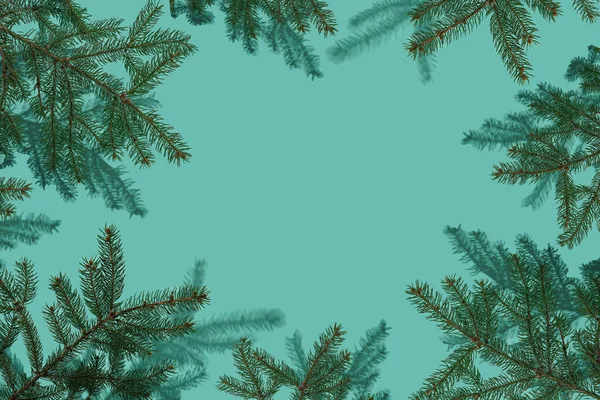 Fir branches on a blue background with copy space. Frame. Christmas tree. New Year card. Festive concept. Green pine branch. Pastel turquoise color.