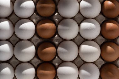 Yumurta arkaplanı. Karton tepside beyaz ve kahverengi yumurtalar. Protein yiyeceği. Çevresel. Minimalizm kavramı.