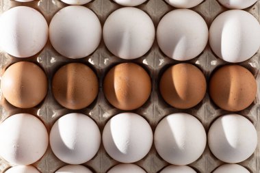 Yumurta arkaplanı. Karton tepside beyaz ve kahverengi yumurtalar. Protein yiyeceği. Çevresel. Minimalizm kavramı.