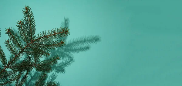 Fir Branches Blue Background Copy Space Christmas Tree New Year — Stock Fotó