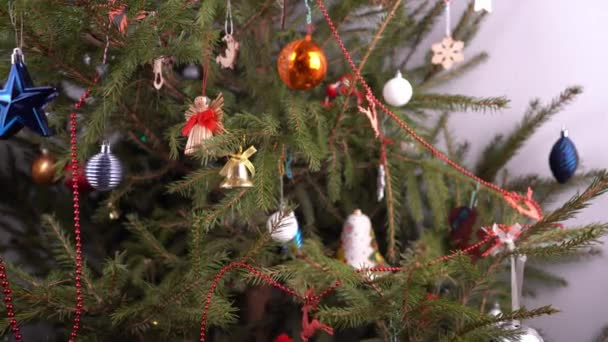 Weihnachtsbaum Hause Dekor Grüne Nadelzweige Schließen Sich Den Weihnachtsbaum Mit — Stockvideo