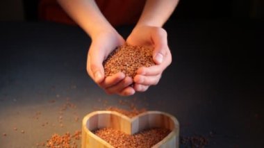 Buckwheat is poured from the hands into a wooden plate. Buckwheat groats, seeds, grain.