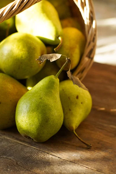 Pears Wooden Background Fruit Harvest Autumn Still Life Pear Variety — Stock Photo, Image