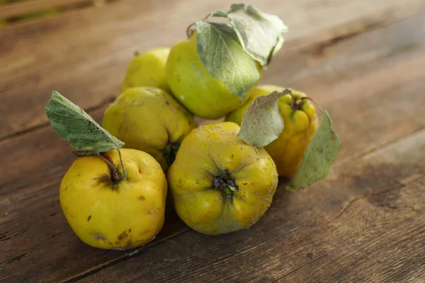 Quince fruit. Still life on a wooden background. Ripe quince fruits. Vitamin food.