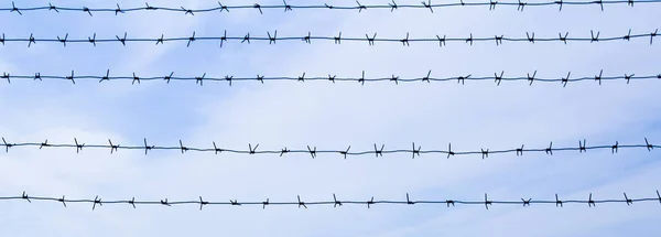 Barbed Wire Prison Blue Sky Territory Protection Background — Stock Photo, Image