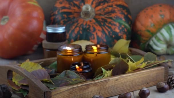 Las Velas Soja Queman Frascos Vidrio Hojas Árbol Calabaza Comodidad — Vídeos de Stock