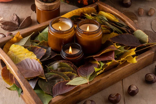 Soya mumları cam kavanozlarda yanar. Ağaç yaprakları. Evdeki rahatlık. Kahverengi kavanozdaki mum. Koku ve ışık. Kokulu el yapımı mum. Aroma terapisi. Sonbahar havası. Sonbaharda ev dekorasyonu. Şenlikli dekorasyon.