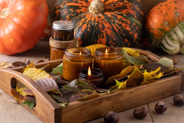 Candele Soia Bruciano Vasi Vetro Foglie Albero Zucca Comfort Casa — Foto Stock