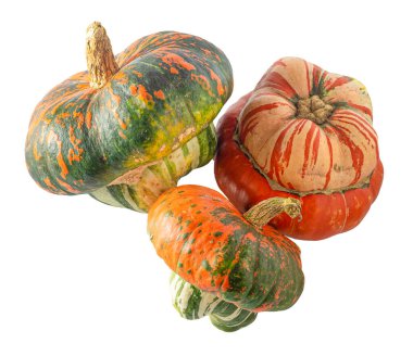 Beyaz arka planda izole edilmiş farklı balkabakları. Türklerin türbanı çeşitlidir. Turuncu, yeşil ve gri renkli balkabağı. Sonbahar hasadı. Cadılar Bayramı ve Şükran Günü yemekleri.