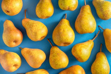 Mavi arka planda sarı armutlar. Meyve hasadı. Sonbahar hala hayattır. Armut çeşitliliğinde Bera Konferansı. Vitamin yiyeceği. Desen üst görünümü.