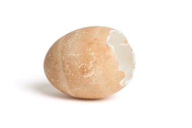 Broken egg shell