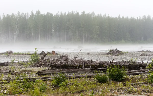 Paysage du lit de la rivière — Photo