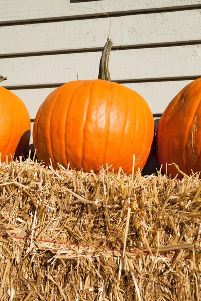 Zucca e fieno — Foto Stock