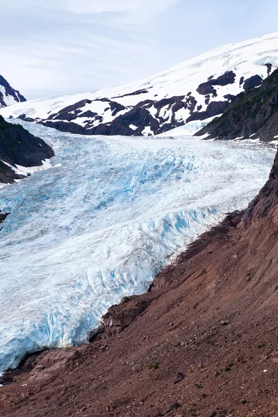 Bear Glacier Royalty Free Stock Photos