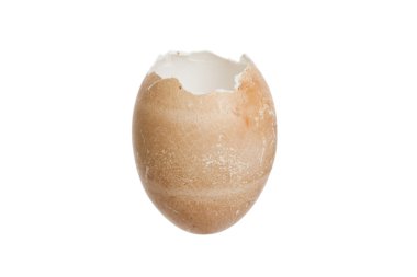 Broken egg shell
