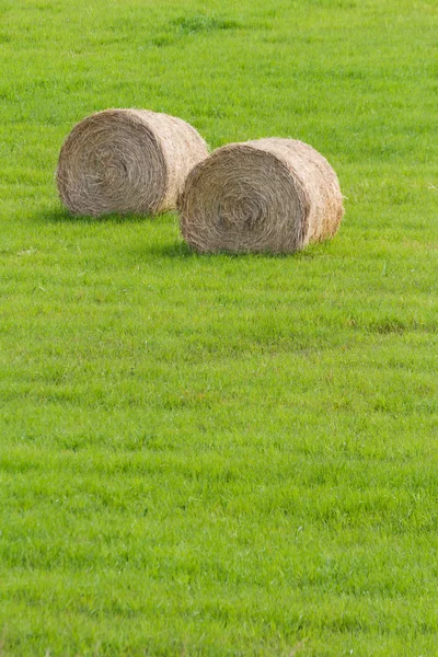 Hay Bale — Stock Photo, Image