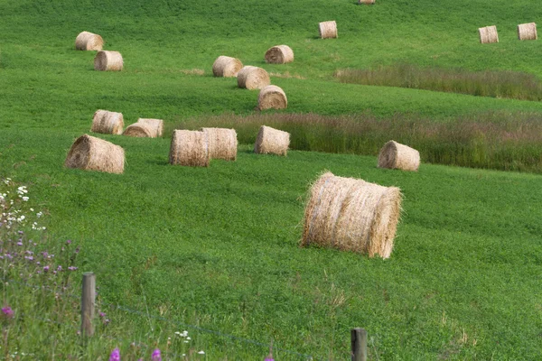 Hay Bale — Stock Photo, Image