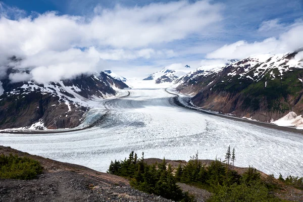 Lachsgletscher — Stockfoto