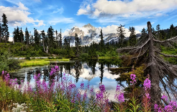 Highwood Lake — Stock Photo, Image