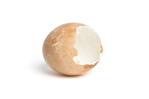 Broken egg shell — Stok fotoğraf