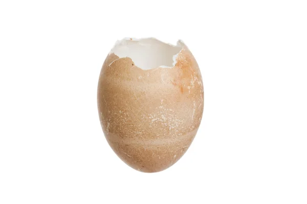 壊れた卵の殻 ストック画像