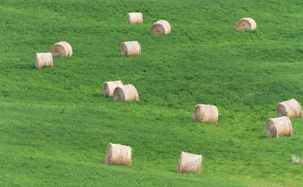 Hay Bale — Stock Photo, Image