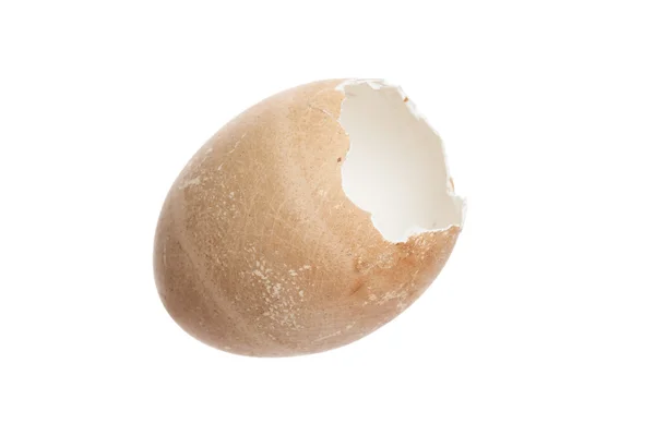 Rozbité vajíčko skořápce — Stock fotografie