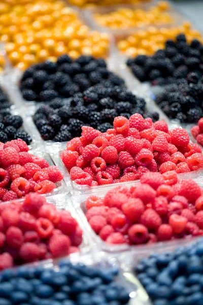 Frutos de bayas — Foto de Stock