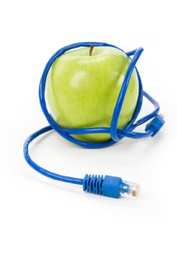 Internet tehlikesi