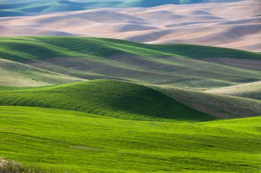 haddeleme hill ve arazi