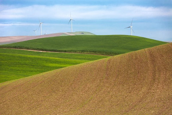 Mulini a vento e campi di grano — Foto Stock