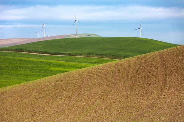 Kincir angin dan ladang gandum Stok Foto Bebas Royalti