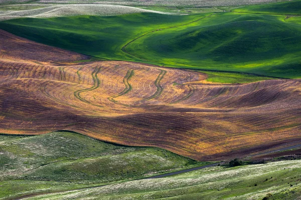 Colline vallonnée et terres agricoles — Photo