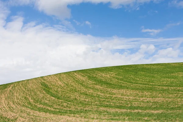 Jordbruksmark — Stockfoto