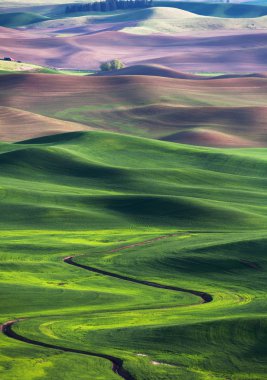 haddeleme hill ve arazi